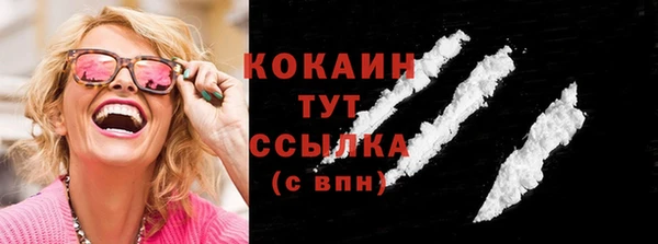 хмурый Дегтярск